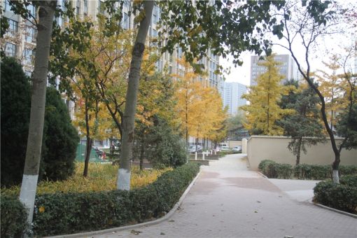 唐山新世界濠景1室1厅1卫南朝向1200.00元/月出租