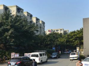 新园大道26号院1室1厅东南