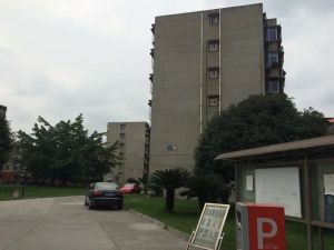 浦兴街240号 3室2厅 南 东南