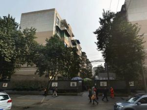 双林中横路49号院3室1厅南北
