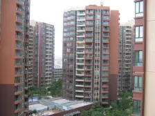 保利物业 户型方正 朝南视野开阔无遮挡 位置安静