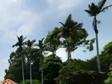 碧水天源大平台 315平方大五房 电梯入户 豪 宅标配