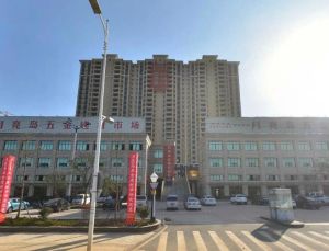 金富星城3室2厅南