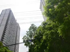 广场南口中盐大厦 电梯高层 随时可以看房