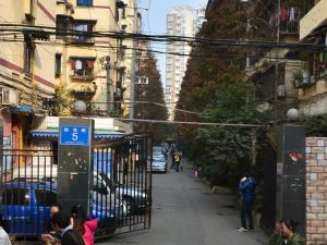东光街5号1室1厅南