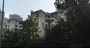 莲花新区北二巷8号 2室1厅 东南