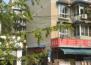 新园 3室2厅 东南