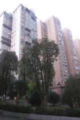 麓景裕园交通便利楼层好采光好视野开阔配套齐全