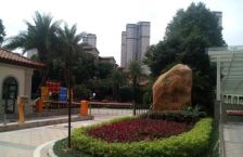 新世纪领居位于大岭山领尚广场沃尔玛旁。 商圈成熟