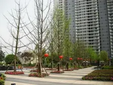 高新区 协信天骄城五房295万