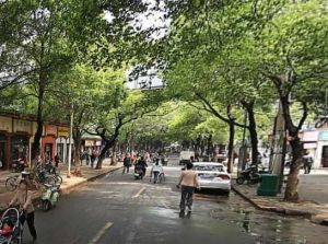 新公园路户型方正,采光好装修好,环镜优美近地铁视野好,诚心出售