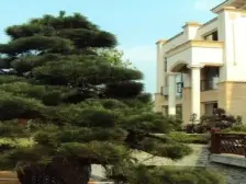 此房户型格局好 方便看房 大花园别墅 业主急卖