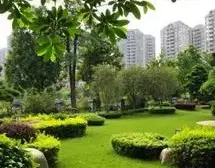 观园不靠马路边的大四房,来了都要看看