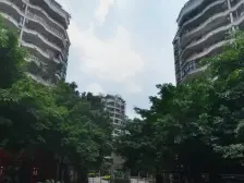 杨家坪 直港大道 珠江花园 精装4房 正看江