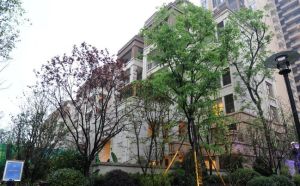 龙湖北城天街二期3室1厅西南