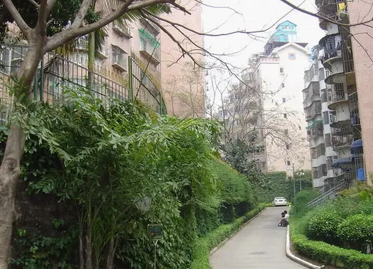山木清华