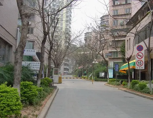 山木清华