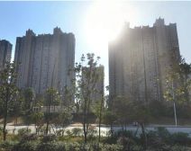 中海国际社区二期1室1厅南