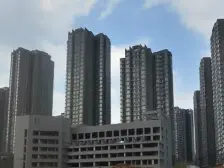 锦东庭园 3室2厅 西