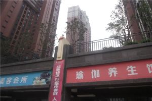 橄榄城4室2厅南