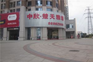 楚天雅郡3室2厅南北
