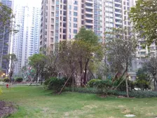 南向高层 精品自住刚需江景户型