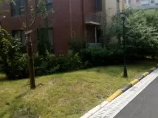 鑫苑世家 精装修一居室 业主急售