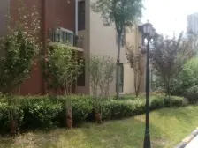 正常税费 产权清晰无抵押 诚心出售 采光无遮挡