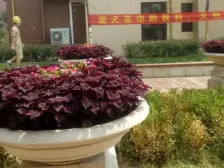 满五年不唯一,精装修,保持干净,视野开阔,无遮挡