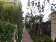 双拼别墅,带前后大花园, 带电梯,园博苑旁