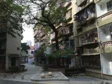 图强小区九年一幼实YAN一双中山公园地铁口