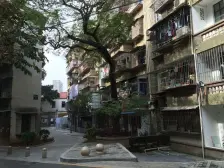 图强小区正规一房一厅中山公园地铁口1号线花园小区