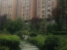 满五不唯一,南户,楼层好,采光好