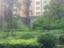 临河观景,中上楼层视野好,临河边户不压抑,业主诚心