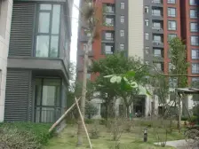 临河小区成熟配套户型方正的少见精装复式