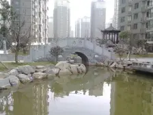 小区中间 高楼层 纯毛坯 诚心出售