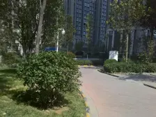 鑫苑现代城 朝南两房 小区中间位置 采光好