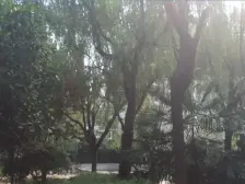 北龙湖旁 电梯小高层 南北通透小三房 刚需必看