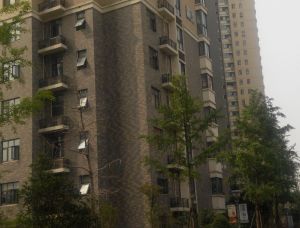 中高楼层采光很好双地铁口临河。