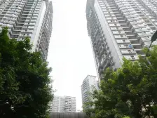 杨家坪商圈西郊+公务员小区住家环境好