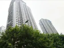 西城镜园 2室1厅 东南