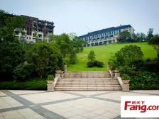 金科御苑三期 全新精装上叠 室内面积大