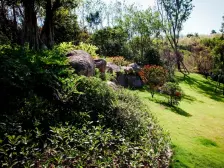 金科品质别墅+头排位置视野开阔+离电梯近出行方便