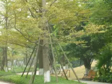 海峡国际社区二期 2室1厅 东南 北