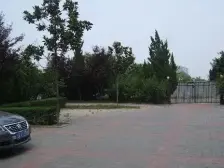 临湖 树木环饶 天然氧吧 公园里