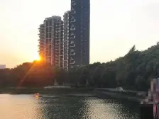 龙泊圣地澜岸 1室1厅 南 北