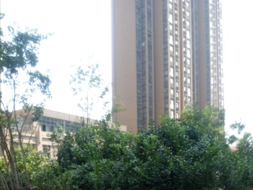 Õû×⡤½ð³¿¼ÎÔ° 2ÊÒ2Ìü ÄÏ