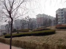 一楼有花园 公摊小 采光充足 居住成本低