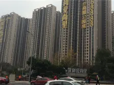 央企保利大盘 配套成熟 交通便利