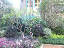 急!三水万达广场,单间户型,有证40年的,随时看房!